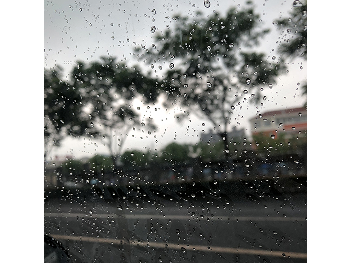 Ng Hon Lam Photography