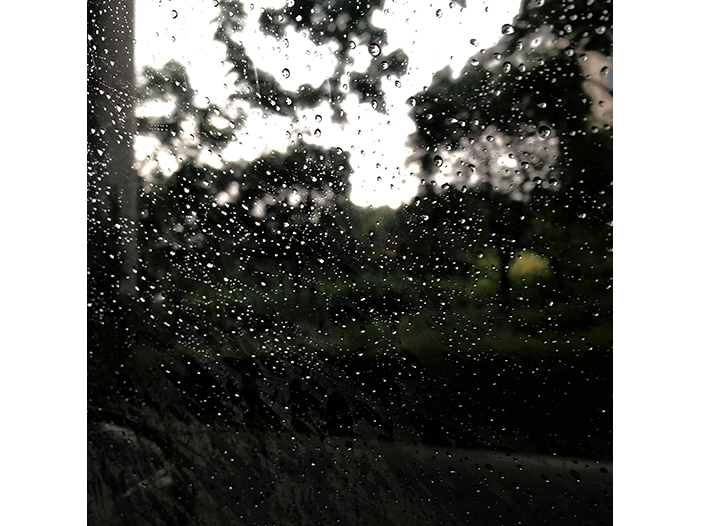 Ng Hon Lam Photography