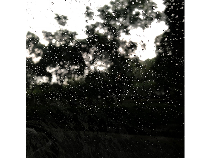 Ng Hon Lam Photography