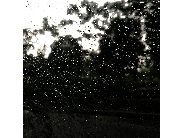 Ng Hon Lam Photography