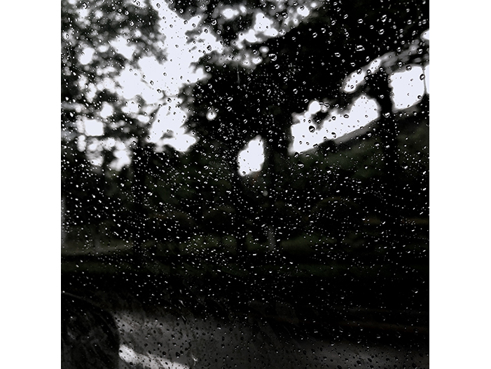 Ng Hon Lam Photography