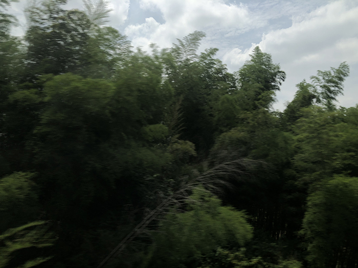 Ng Hon Lam Photography