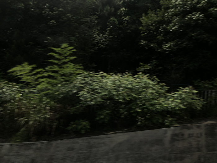 Ng Hon Lam Photography