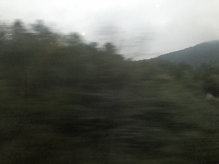 Ng Hon Lam Photography