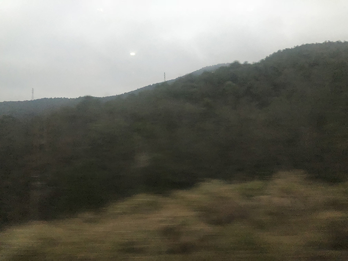 Ng Hon Lam Photography