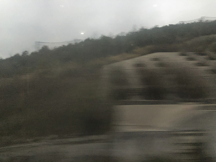 Ng Hon Lam Photography