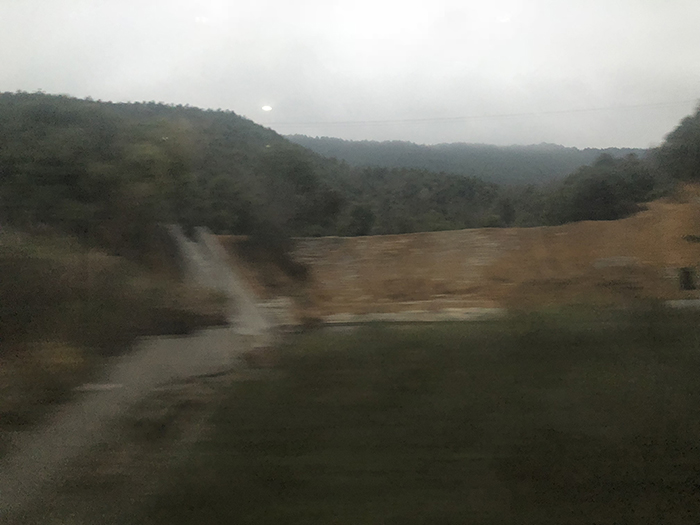 Ng Hon Lam Photography