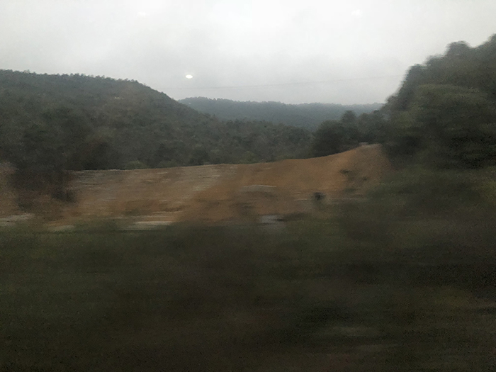 Ng Hon Lam Photography