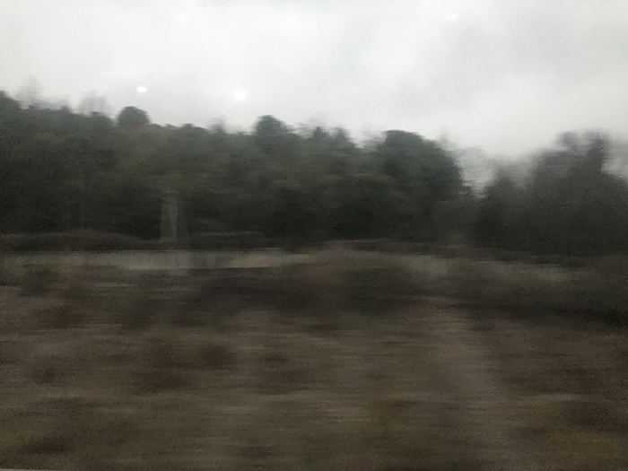 Ng Hon Lam Photography