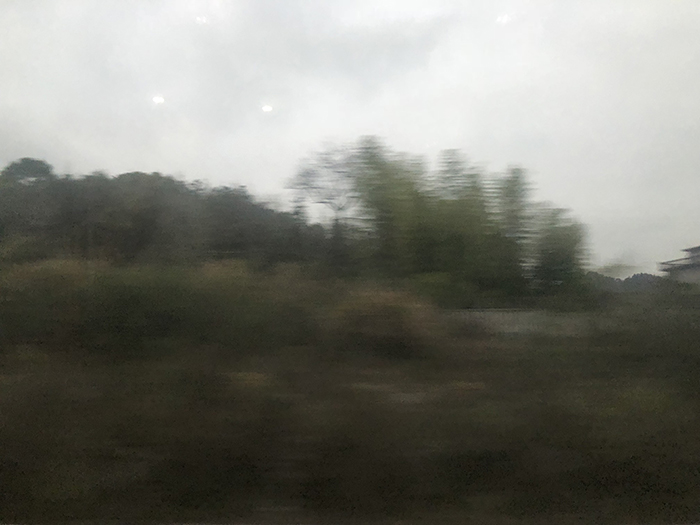 Ng Hon Lam Photography