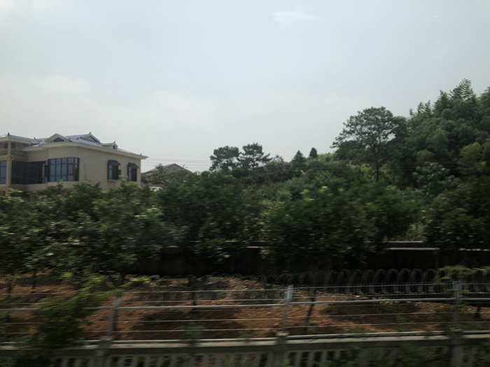 Ng Hon Lam Photography