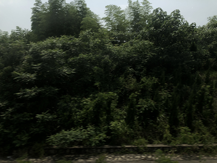 Ng Hon Lam Photography