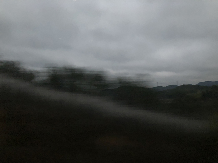 Ng Hon Lam Photography