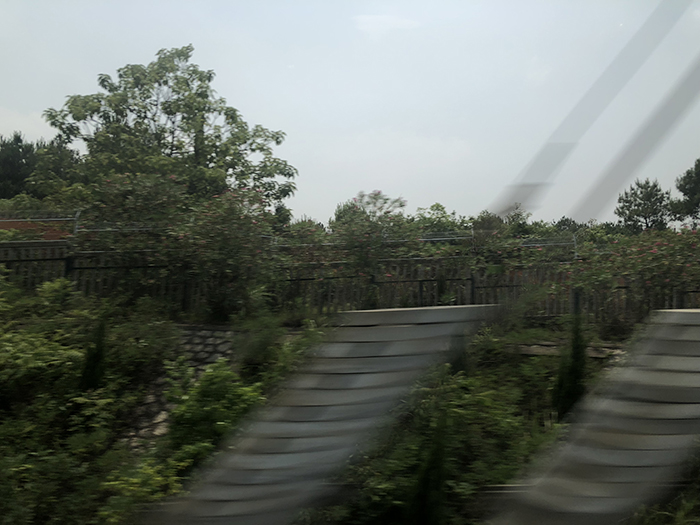 Ng Hon Lam Photography