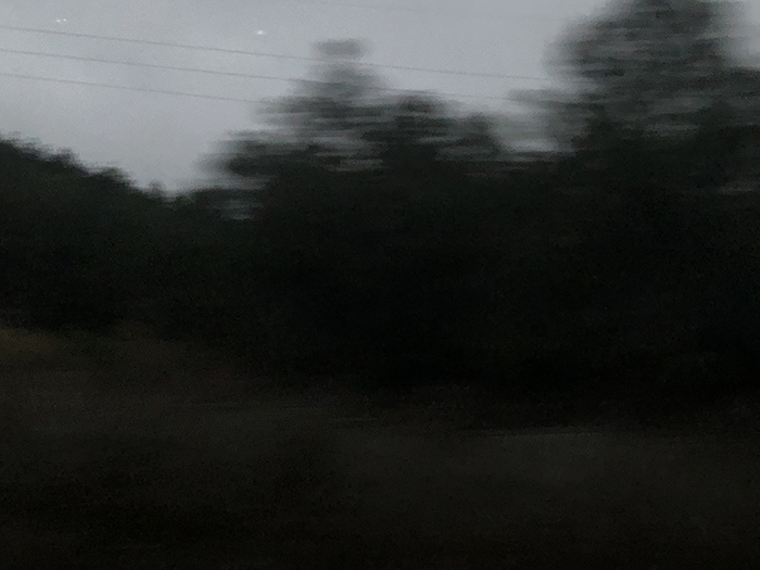 Ng Hon Lam Photography