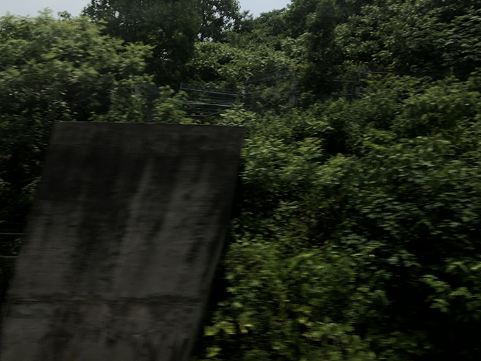 Ng Hon Lam Photography