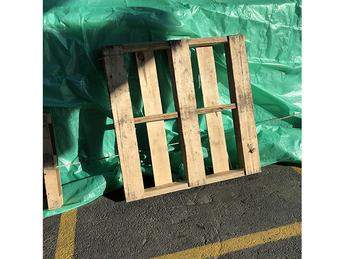 Ng Hon Lam Photography