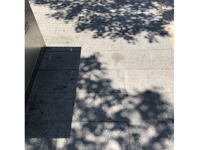 Ng Hon Lam Photography