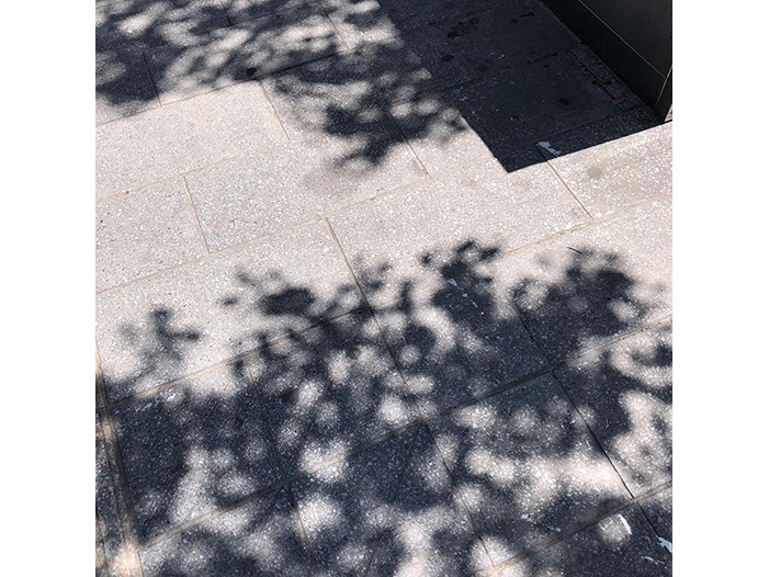 Ng Hon Lam Photography