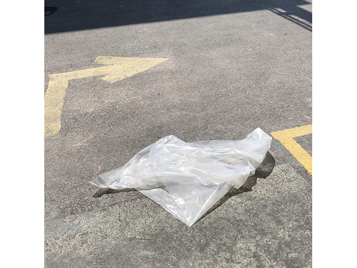 Ng Hon Lam Photography