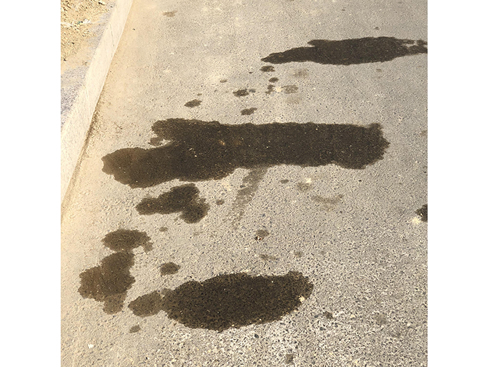 Ng Hon Lam Photography