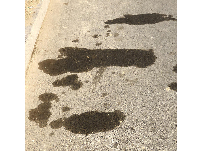 Ng Hon Lam Photography