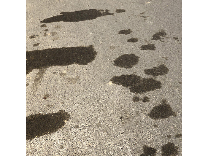 Ng Hon Lam Photography