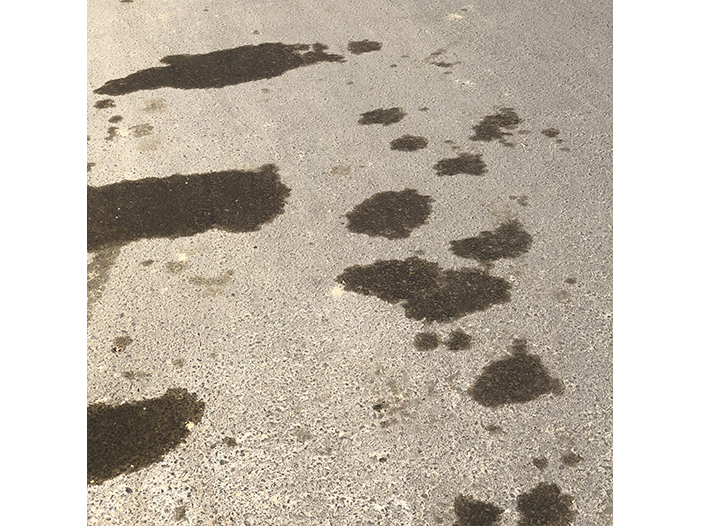 Ng Hon Lam Photography