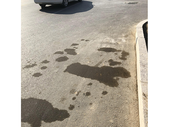 Ng Hon Lam Photography