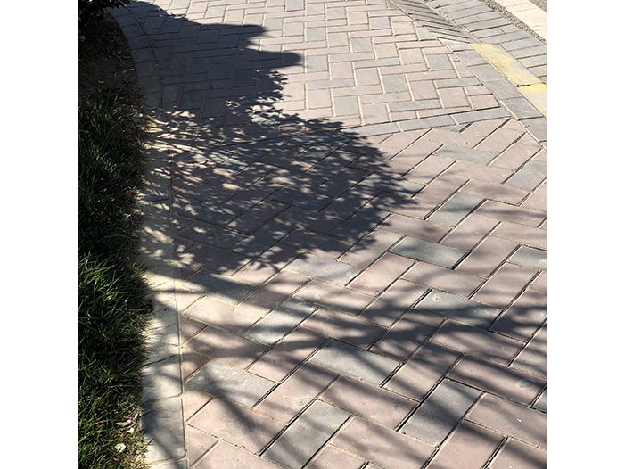 Ng Hon Lam Photography