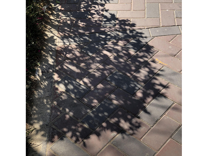 Ng Hon Lam Photography