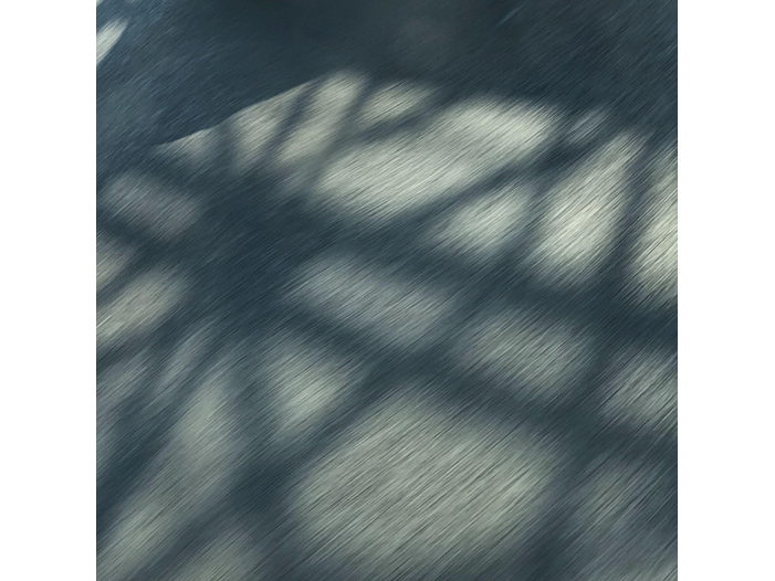 Ng Hon Lam Photography