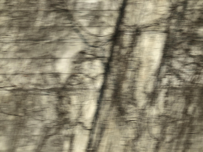 Ng Hon Lam Photography