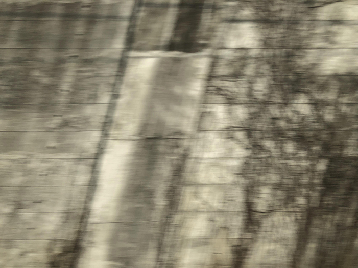 Ng Hon Lam Photography