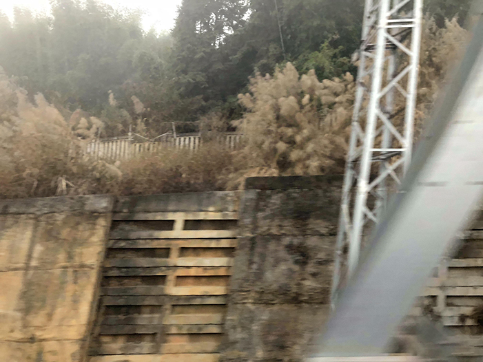 Ng Hon Lam Photography