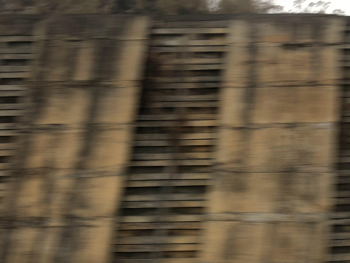 Ng Hon Lam Photography