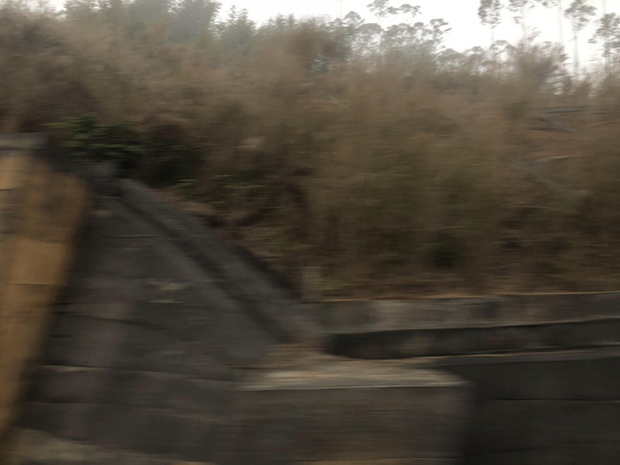 Ng Hon Lam Photography