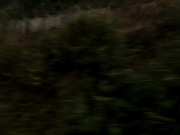 Ng Hon Lam Photography