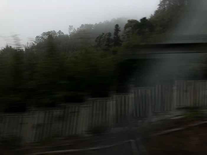 Ng Hon Lam Photography