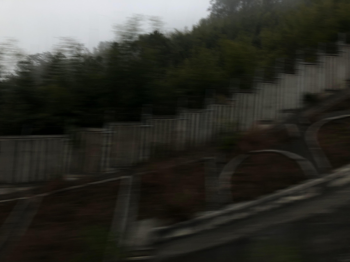 Ng Hon Lam Photography