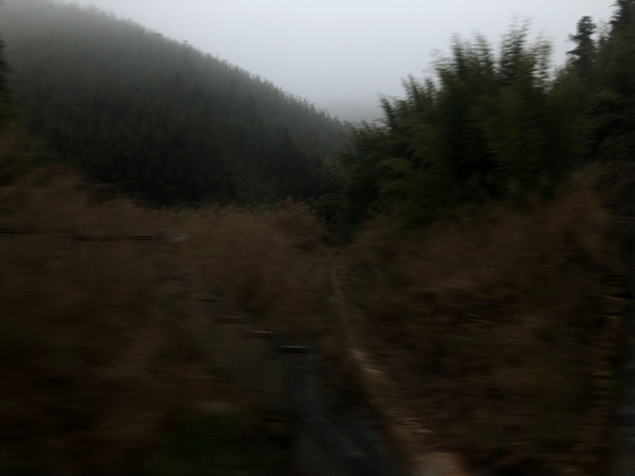 Ng Hon Lam Photography