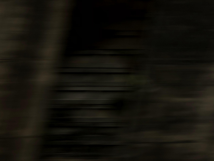 Ng Hon Lam Photography