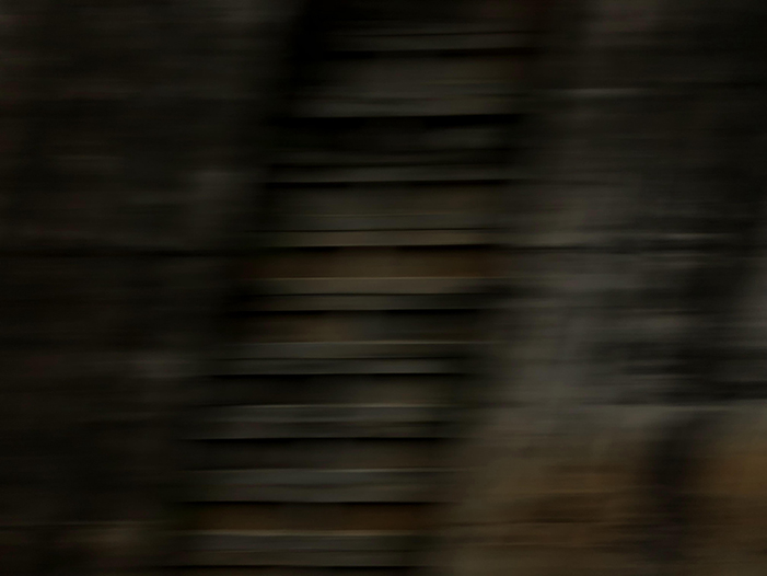 Ng Hon Lam Photography