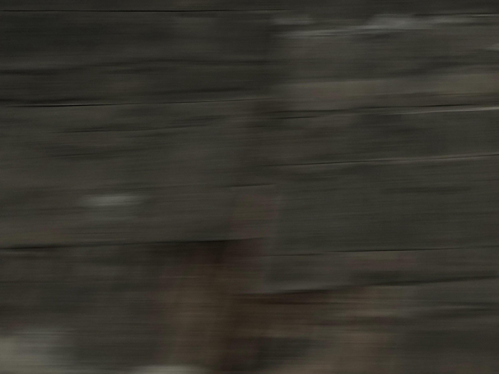 Ng Hon Lam Photography