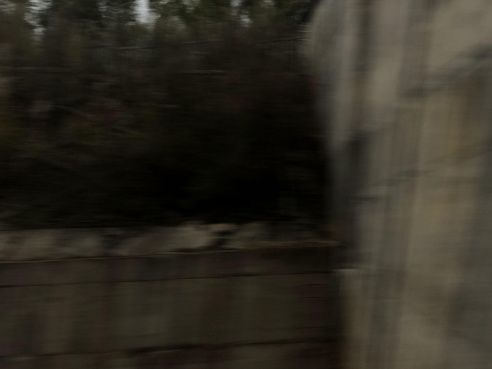 Ng Hon Lam Photography