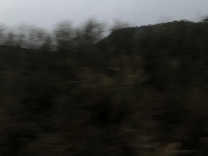 Ng Hon Lam Photography