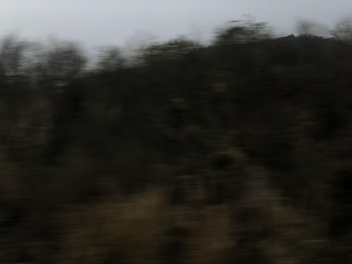 Ng Hon Lam Photography