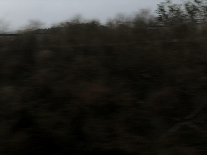 Ng Hon Lam Photography