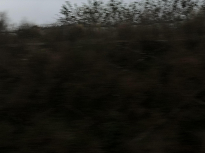 Ng Hon Lam Photography