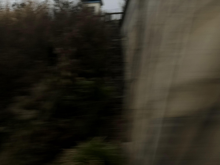 Ng Hon Lam Photography